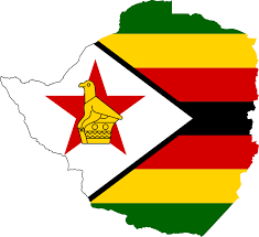 Shamiso Moyo